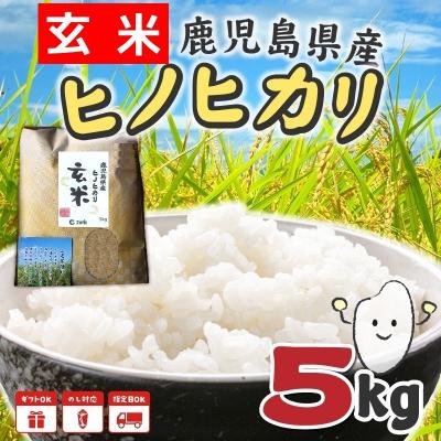 ふるさと納税 南九州市 【玄米】鹿児島県産ヒノヒカリ5kg |  | 01