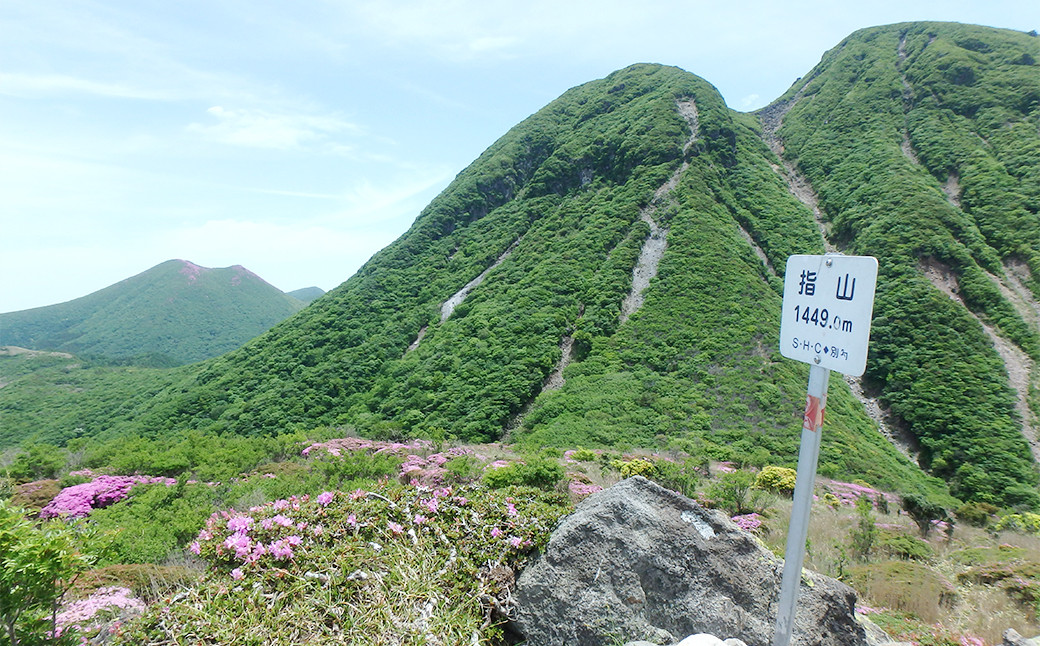 ガイドと楽しむタデ原湿原から指山 登山散策チケット