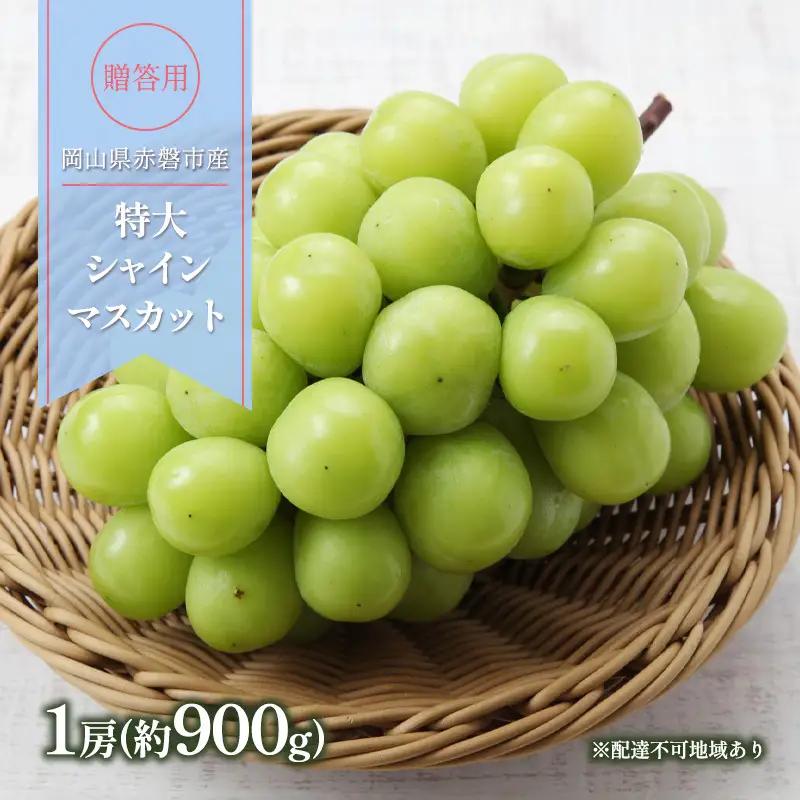 シャインマスカット 贈答用 特大 岡山県産 シャインマスカット【約900g1房】【先行予約】