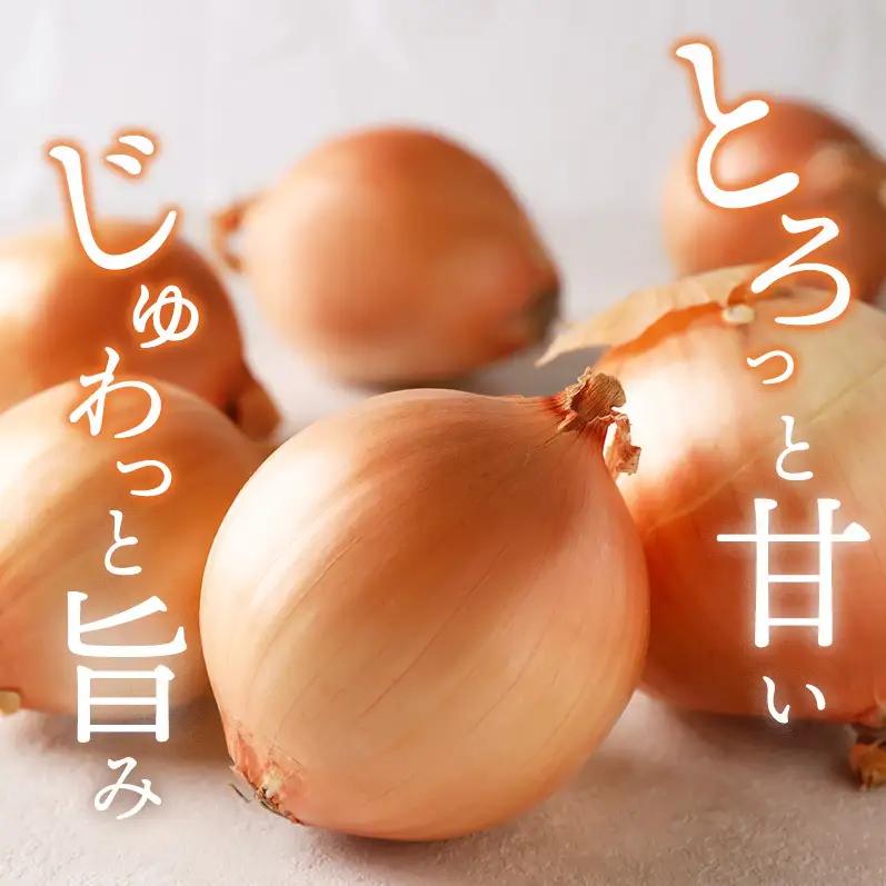 玉ねぎ 淡路島産 10kg スープ 肉じゃが 玉ねぎ