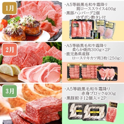 定期便(1年で10回配送)枕崎お楽しみ便(A5等級黒毛和牛・黒豚・黒豚加工品etc) II-6002