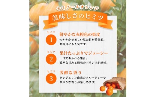 【ご家庭用】手選別 セミノールオレンジ 約8kg 和歌山県産 2S~2Lサイズ混合※2026年4月中旬～5月中旬頃に順次発送【mrmt050】