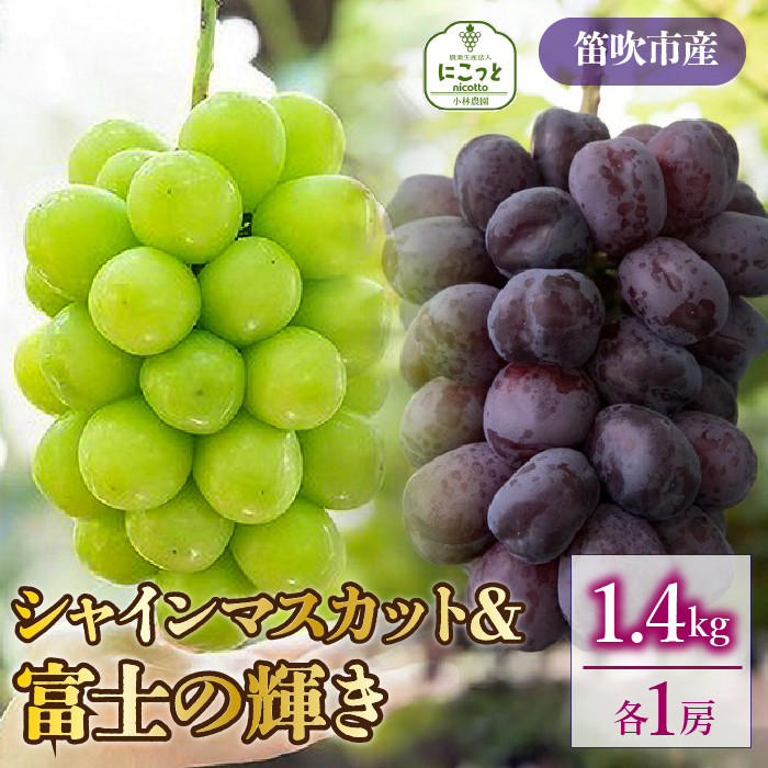 
            【2026年発送★先行予約】シャインマスカット・富士の輝　1房ずつ（合計1.4kg） 097-023-26y
          