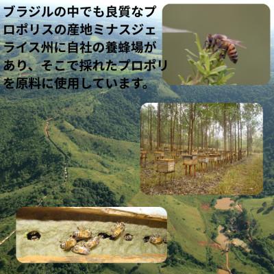 ふるさと納税 山梨市 バイオフラボンメディック 60粒 |  | 02