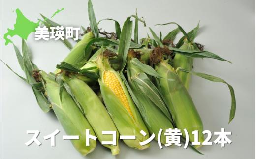 【先行予約】とうもろこし (黄12本) スイートコーン<令和7年産 >美瑛選果 | とうもろこし コーン とうきび 野菜 ベジタブル 産地直送 送料無料 北海道 道産  [012-171]