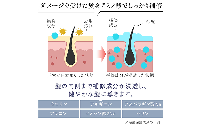 ノンシリコンアミノ酸シャンプー 衣薫（ころもかおる）ボトル シャンプー ドライヘア ダメージヘア 地肌に優しい 天然由来成分 髪滑らか サラり 艶髪 頭皮ケア 