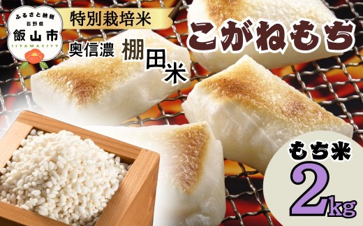 特別栽培米 もち米 こがねもち『 奥信濃の 棚田米 実の里 2kg』 (7-23)  ｜ 米 もち米 ふっくら もちもち 減農薬 長野県 飯山市
