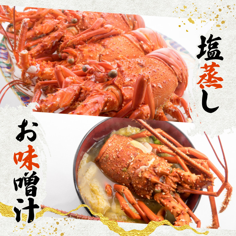 画像はイメージです。