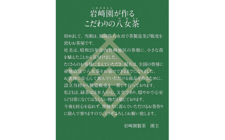 八女茶100％ ヒモ付き 上級煎茶 ティーバッグ （5g×18ヶ入 3袋）＜岩崎園製茶＞　075-021