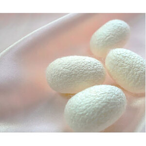 ＜セミダブル＞ピュアシルク敷パッド 120×205cm　1枚 ホワイト SCC-1220SW