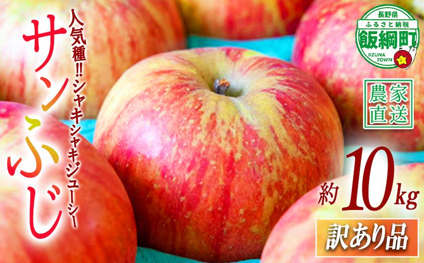 
                  りんご サンふじ 訳あり 10kg 永正の地蔵尊神谷農園  2026年12月上旬頃から2027年3月上旬頃まで順次発送予定 令和8年度収穫分 傷 不揃い リンゴ 林檎 果物 フルーツ 信州 長野 予約 農家直送 長野県 飯綱町 [0209]
                