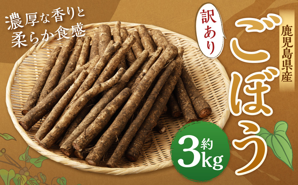 ZS-636 鹿児島県産 土付き ごぼう 約3kg【規格外・訳あり品】【2026年1月上旬～3月下旬発送予定】