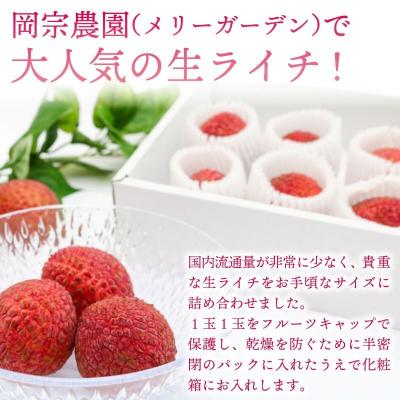 ふるさと納税 室戸市 【先行受付!令和8年6月上旬頃より発送】お試しパック 生ライチ 国産 ライチ 果物 |  | 02