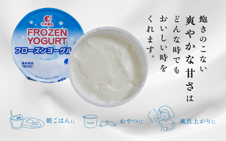 フローズンヨーグルト 30個  ヨーグルト 中央製乳