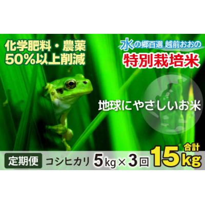 ふるさと納税 大野市 【令和8年産新米】【3ヶ月定期便】こしひかり 5kg × 3回 計15kg【白米】特別栽培米