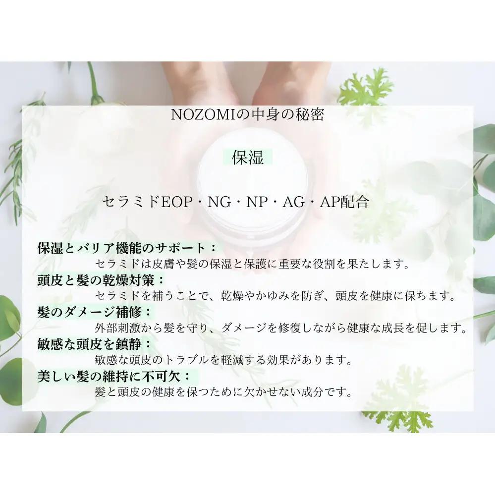 【福岡市内製造】NOZOMIボタニカルシャンプー 400ml（2本セット）