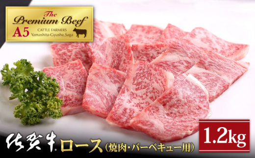 
【霜降り A5ランク】佐賀牛 ロース 焼肉用 1.2kg ( 400g×3パック )【山下牛舎】 [HAD052]
