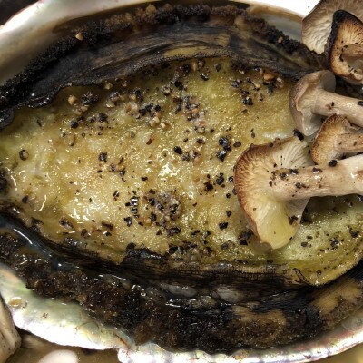 【2ヵ月毎定期便】隔月で八幡浜発、竹中水産天然小アワビ500g前後【H22-286】全3回【配送不可地域：離島・北海道・沖縄県】【4076447】