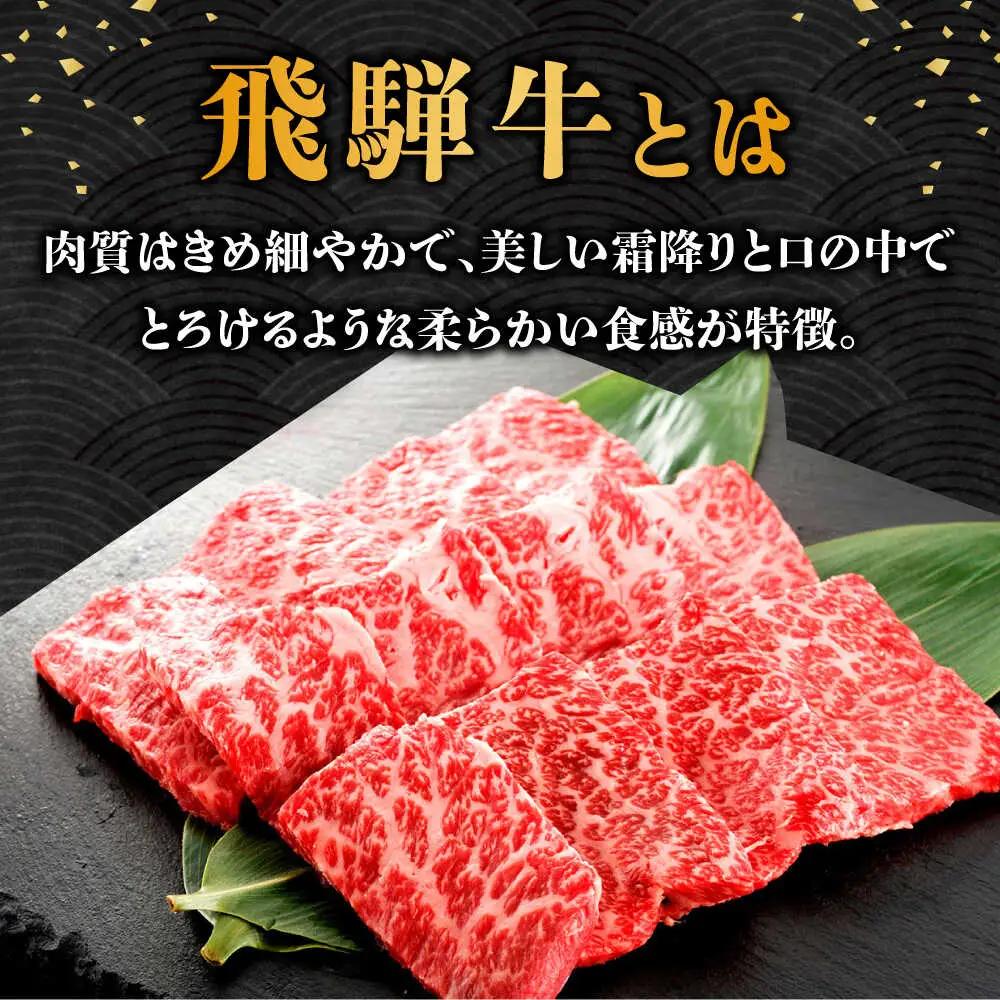 【6回定期便】 飛騨牛 ロース・肩ロース 1kg A5等級 [TAZ036] 肩ロース 焼肉用