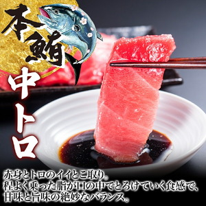 大間産 本マグロ 中トロ 約160g 柵 まぐろ 鮪 本鮪 クロマグロ マグロ 中とろ 柵取り 天然 国産 北海道産 レア 刺身 海鮮 お取り寄せ 専門店 ギフト 人気 冷凍 鮪斗 北海道 函館市_H