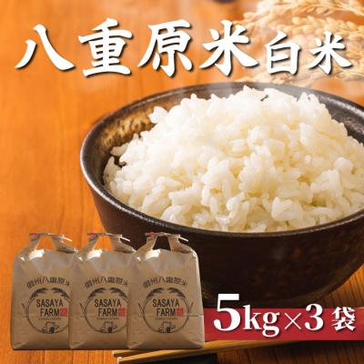 ふるさと納税 東御市 令和8年新米受付!八重原米 白米【15kg】(5kg×3袋)※2026年10月以降順次発送|笹屋農園