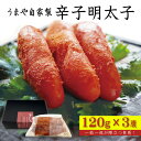 【ふるさと納税】うまや 自家製 辛子 明太子 120g×3 送料無料 福岡県 東峰村 AC3