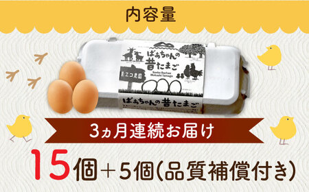 【全3回定期便】ばあちゃんの昔たまご 計60個（15個+5個×3回（品質補償付き）） / 佐賀県 / 素ヱコ農園 [41AEAA004]