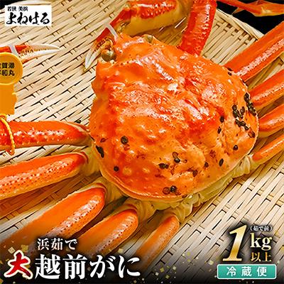 ふるさと納税 美浜町 【2027年3月上旬頃より順次お届け】越前がに　大1杯