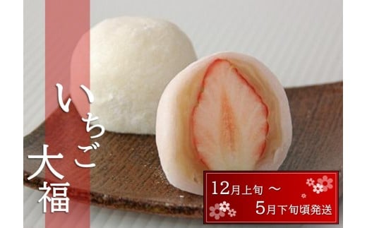 
                  いちご大福 10入【期間限定】
                
