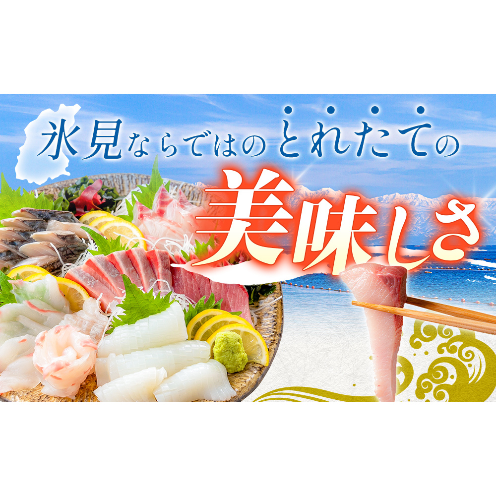 【冷蔵】お刺身 詰め合わせ（サク）4,5人前（5種類）　釣屋魚問屋直営 ひみ岸壁市場_イメージ2