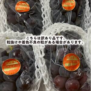 【きよとうファーム】訳あり品 種なしで甘い葡萄の王様「ピオーネ」 /約2.4kg(岡山県産)【配送不可地域：離島】【1602470】
