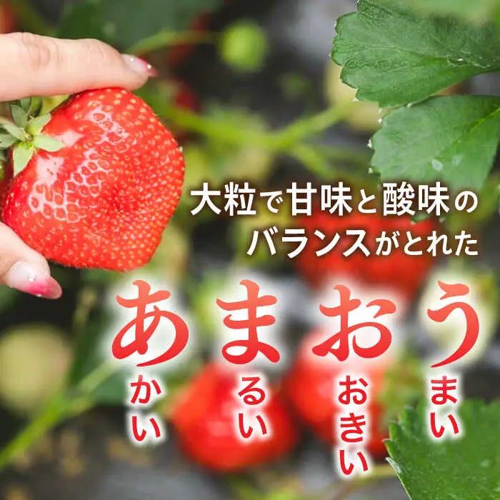 【先行受付】糸島産 完熟あまおう 280g×4パック (デラックスサイズ)【2027年1月以降順次発送】糸島市 / 小河農園 いちご フルーツ 果物 [AJN002]