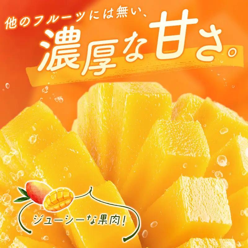 2027年出荷 宮崎 完熟マンゴー4L×2玉 計1kg以上 C357-27