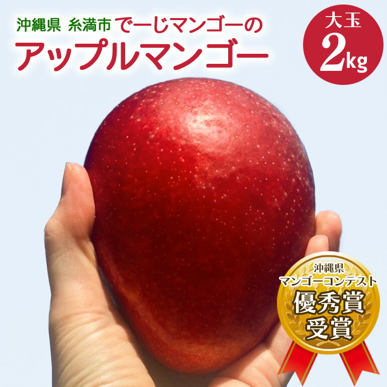 【ふるさと納税】【2026年発送】【令和5年度優秀賞受賞】でーじマンゴーアップルマンゴー2kg (大玉) マンゴー アップルマンゴー アーウィンマンゴー 2キロ フルーツ 果物 完熟 ギフト 贈り物