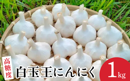 【OLAHO】白玉王にんにく 1kg 35P3207【OLAHO】