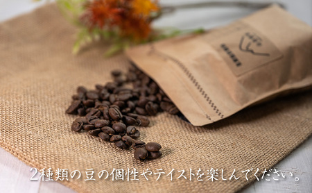 自家焙煎珈琲豆 2種レギュラーコーヒー飲み比べ（各100g×5袋）計1kg 飲み物 飲料 良品な生豆 店内焙煎 新鮮 豊かな香り 2種類 個性 テイスト お楽しみ