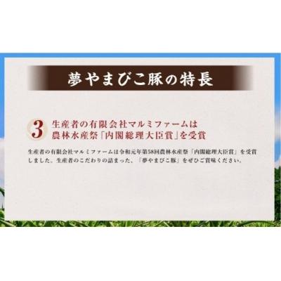 ふるさと納税 幸田町 夢やまびこ豚の大きな焼売 45g×12個(計 540g)  シュウマイ 点心 |  | 02