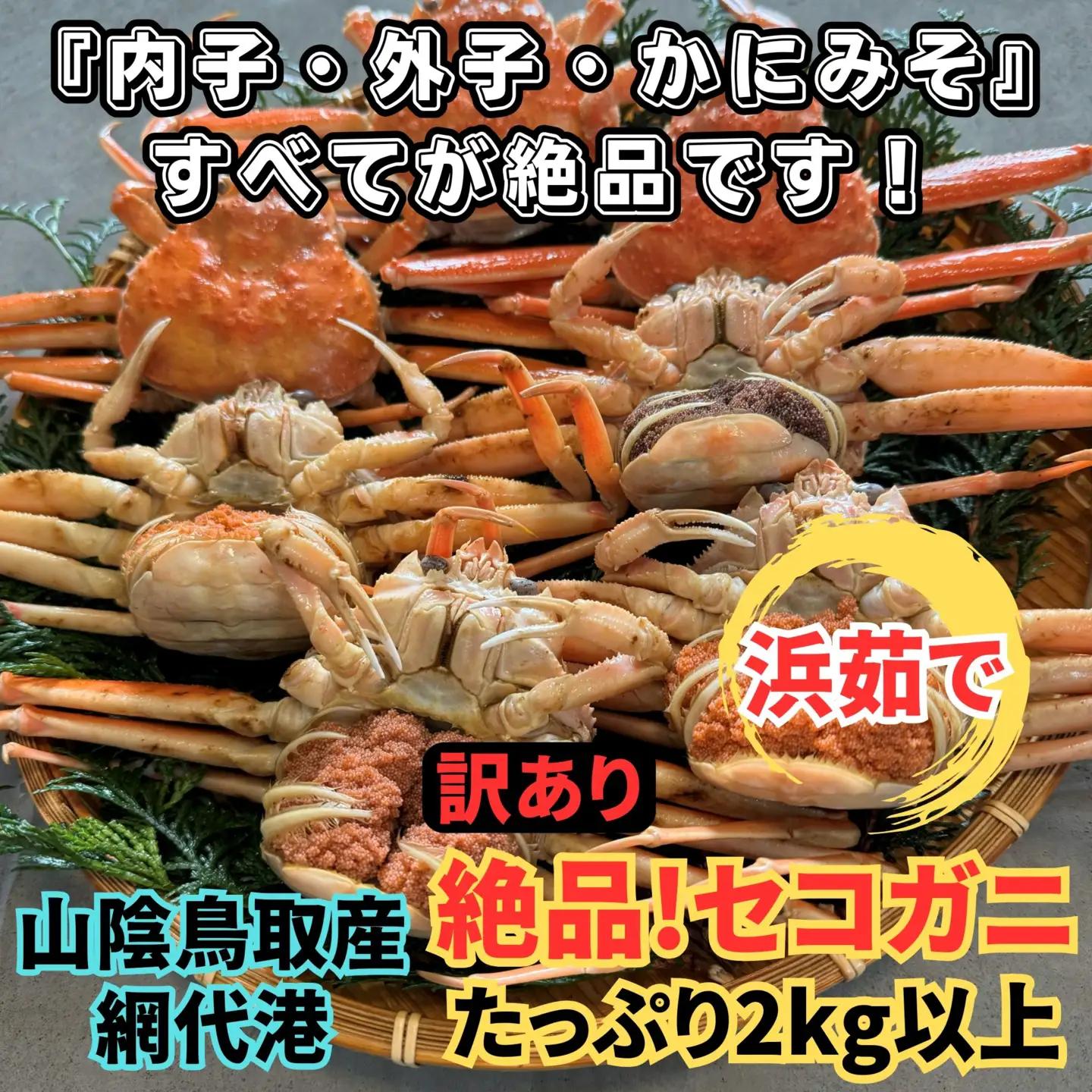 ＜訳あり＞浜茹で！絶品セコガニ2kgセット｜鳥取網代港 岩美 松葉がに ずわいがに かに ※お届けは2026年11月中旬～【さかなや新鮮組】【22102】