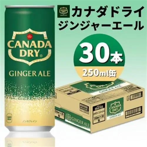 カナダドライジンジャーエール250ml缶×30本【1551264】