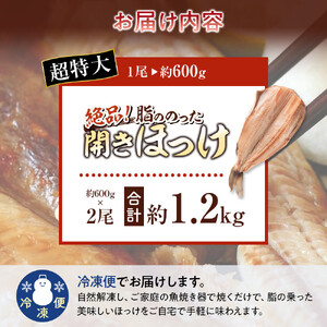 絶品脂ののった 北海道産 開きほっけ 約1.2kg (約600g×2尾セット) | ほっけ_03898