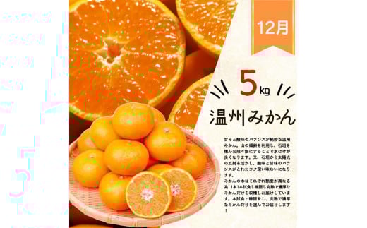 【全3回】紀州和歌山産旬のフルーツ定期便 (いちご・桃・有田みかん)  【tkb375】