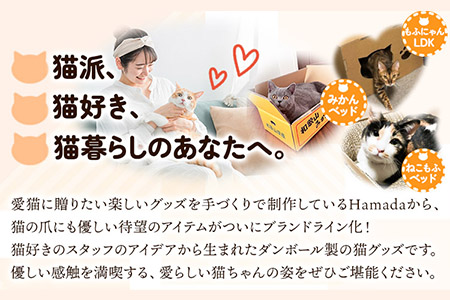 猫 ねこもふベット