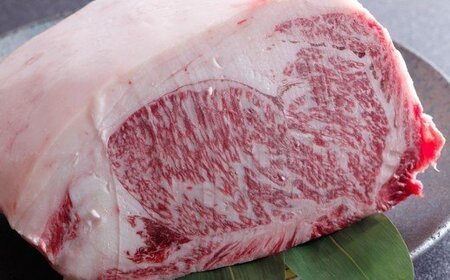 ★☆贅沢なお肉を心ゆくまで☆★最高級志方牛厳選プラン！！《牛肉 志方牛 志方亭 焼肉 バーベキュー BBQ 和牛》