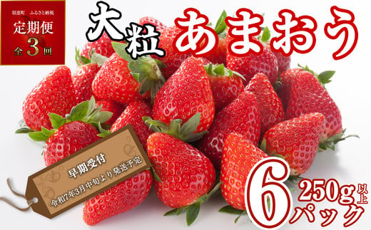 
【 定期便 全3回 】 【300件限定】 福岡県産 あまおう 250g 以上× 6パック （計3回 18パック） SF085-1
