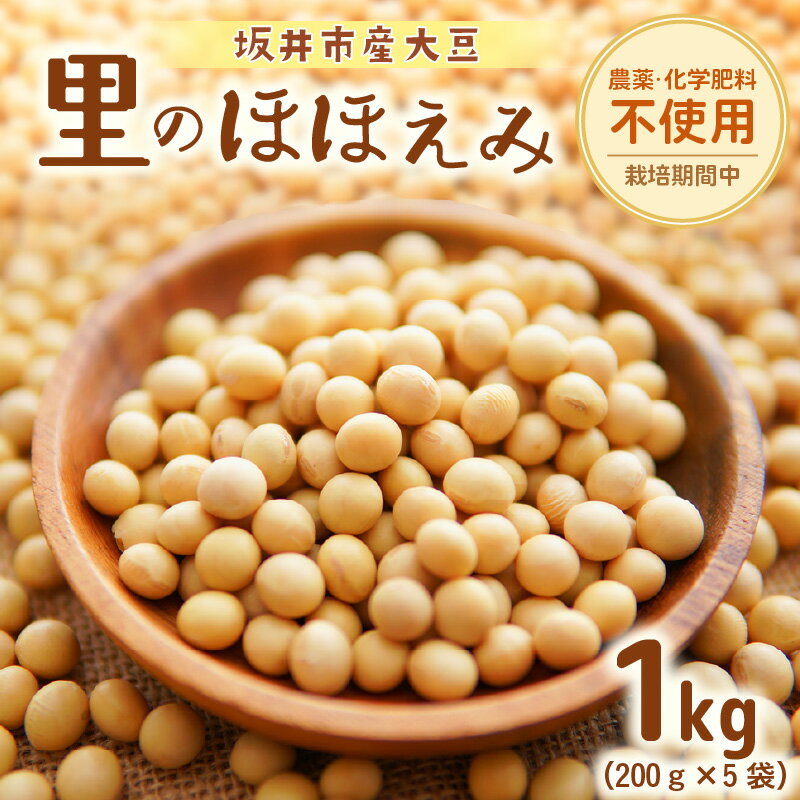 【ふるさと納税】坂井市産大豆 (里のほほえみ) 1kg (200g×5袋) 農薬・化学肥料栽培期間中不使用 【大豆 豆類 だいず 豆料理 豆乳 豆ごはん 煮豆 豆腐 食物繊維 小分け 国産】