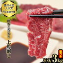 【ふるさと納税】馬刺し 上赤身 ブロック 国産 熊本肥育 冷凍 たれ付き 300g~3kg 肉 絶品 牛肉よりヘルシー 馬肉 平成27年28年 農林水産大臣賞受賞 南阿蘇村 《7月中旬-9月末頃出荷》選べる 内容量【純国産 熊本肥育】 たっぷり 生食用 KG ばさし 送料無料