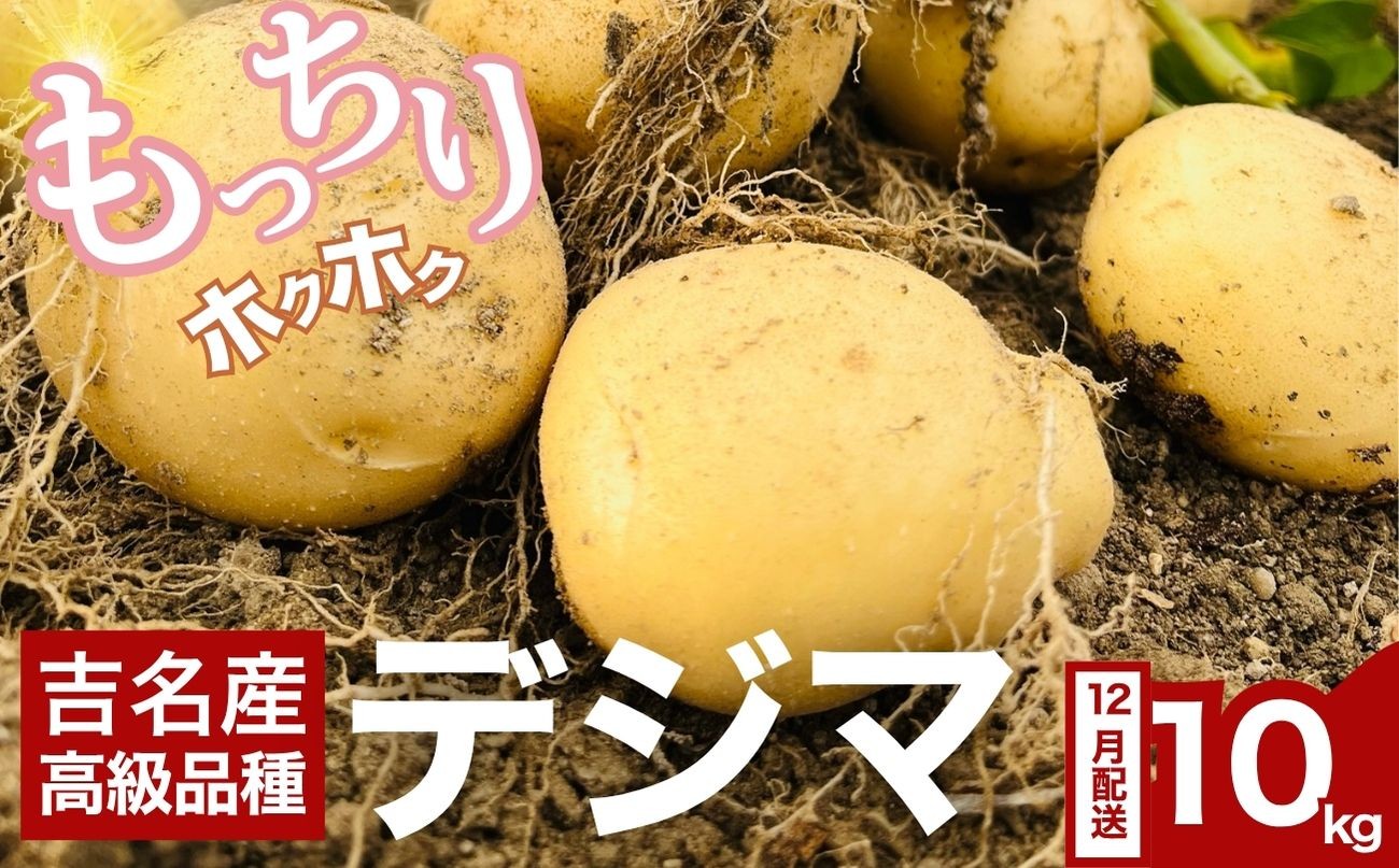 
                  吉名のじゃがいも「まるきっちゃん」デジマ 10kg +400g（傷み補償分）12月発送【野菜 じゃがいも ポテト いも 芋 産地直送 でじま 出島 高級品種 農家直送】
                