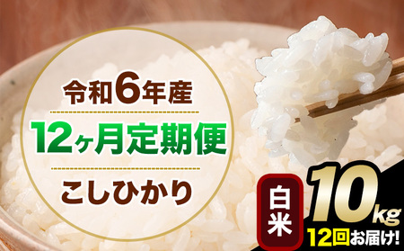 【12ヶ月定期便】令和6年産 定期便 こしひかり 白米 定期便 10kg 精米 熊本県産(南阿蘇村産含む)  南阿蘇村《申込み翌月から発送》｜人気米 熊本県産米  生活応援米