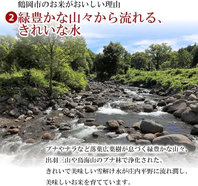 【令和7年産】【3ヶ月定期便】はえぬき 精米 5kg×3回 計15kg 山形県 庄内産　米食味鑑定士お薦め　| 5キロ 定期便 白米 精米 美味しい お米 米 コメ こめ ブランド米 ご飯 ごはん 鶴