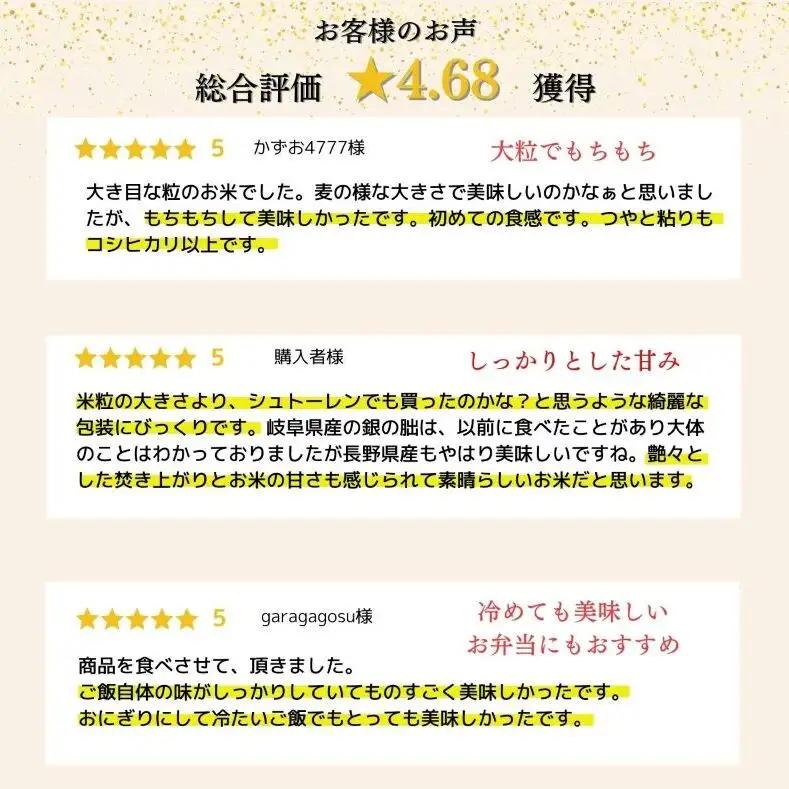 いのちの壱 定期便 12ヶ月 白米 5kg 令和8年産 いのちの壱